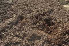 Mulch - Brown Dyed Maryland