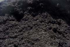 Mulch - Dyed Black Maryland