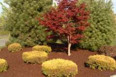 Rubber Mulch Delivery Maryland